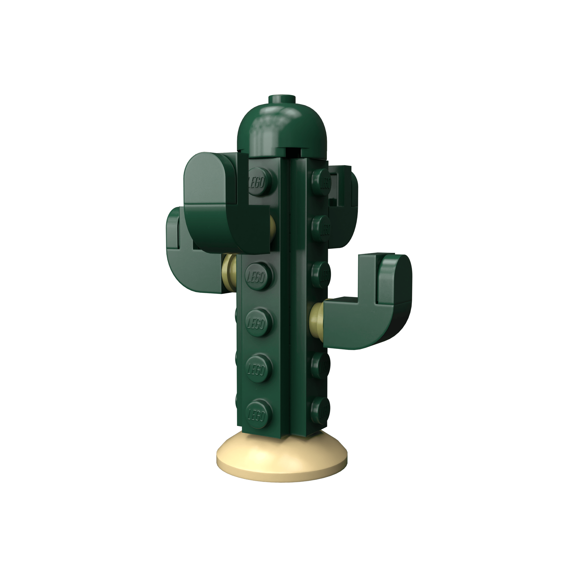 Cactus - Image 1