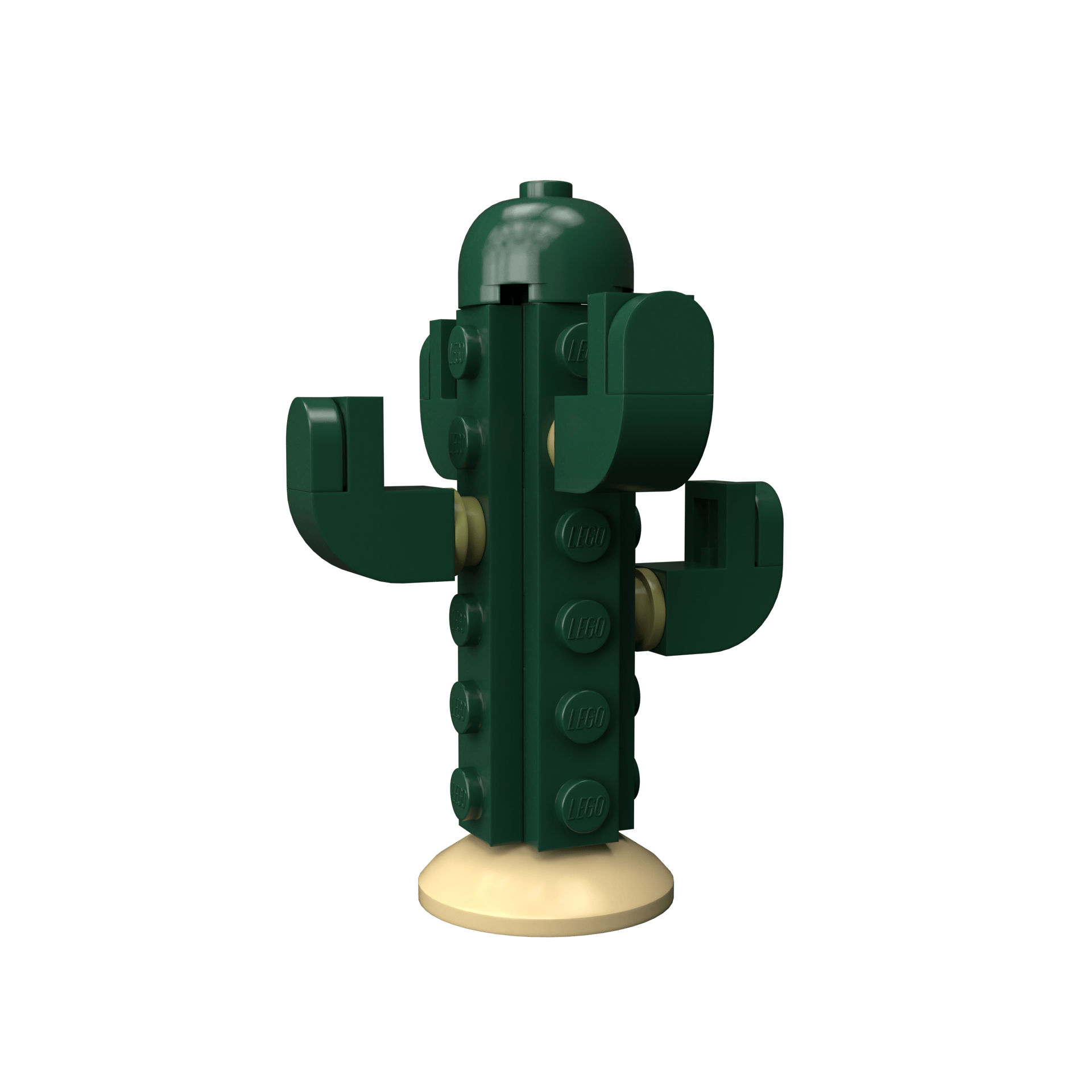 Cactus - Image 2