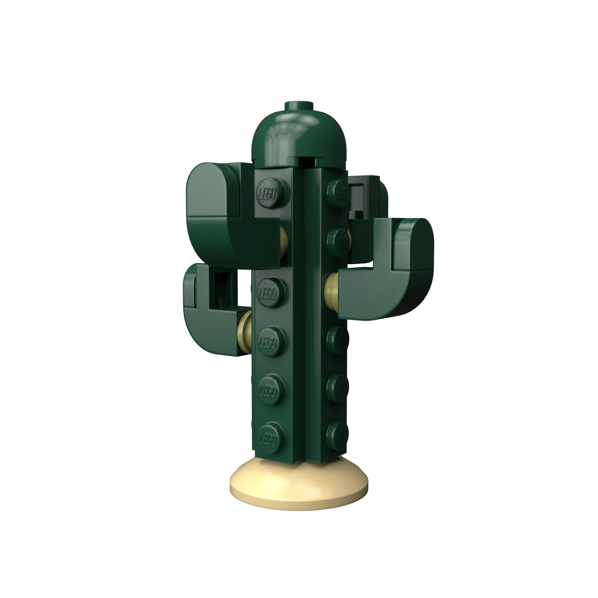 Cactus - Image 3