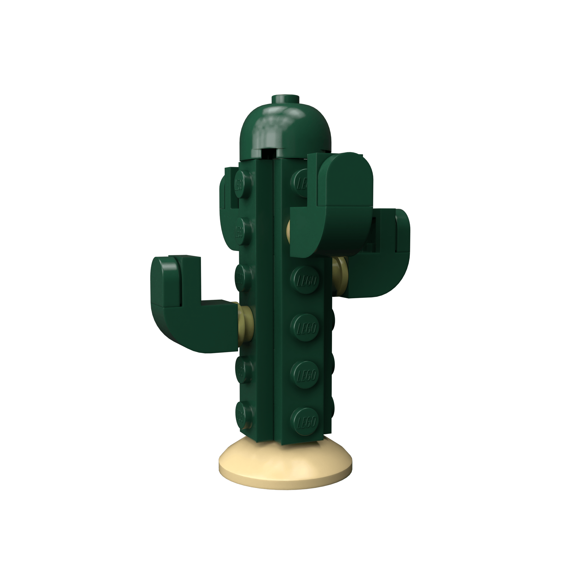 Cactus - Image 4