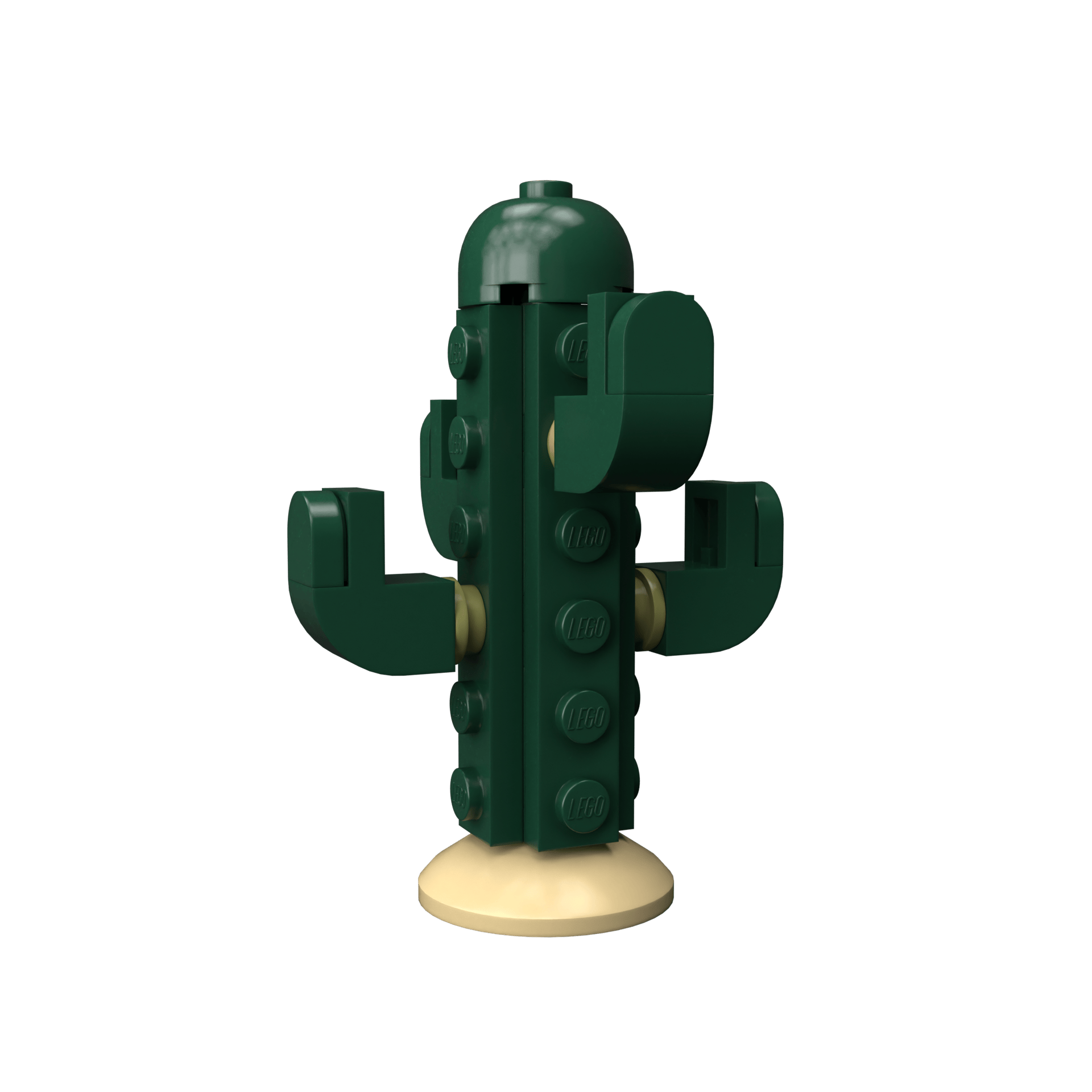 Cactus - Image 2