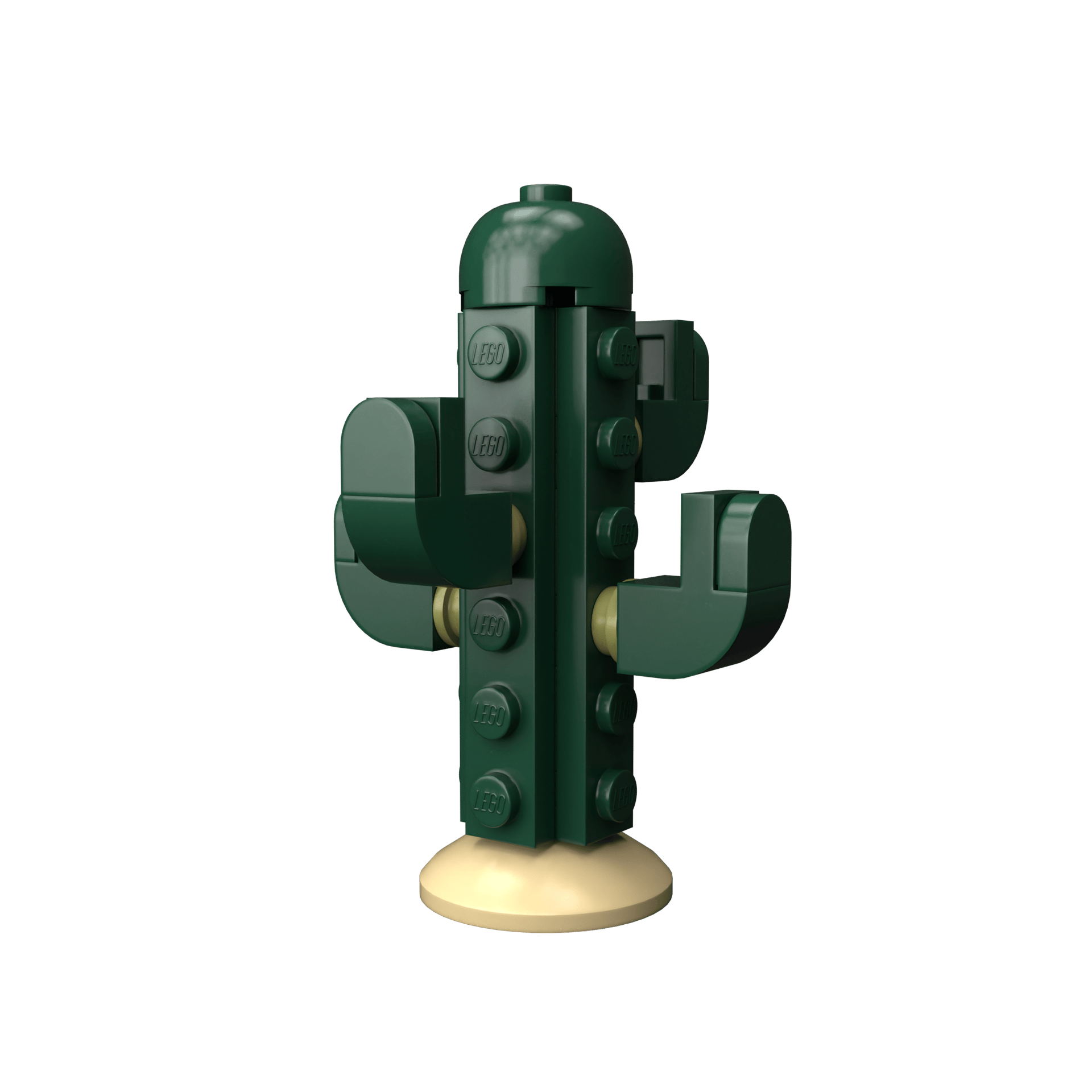 Cactus - Image 3