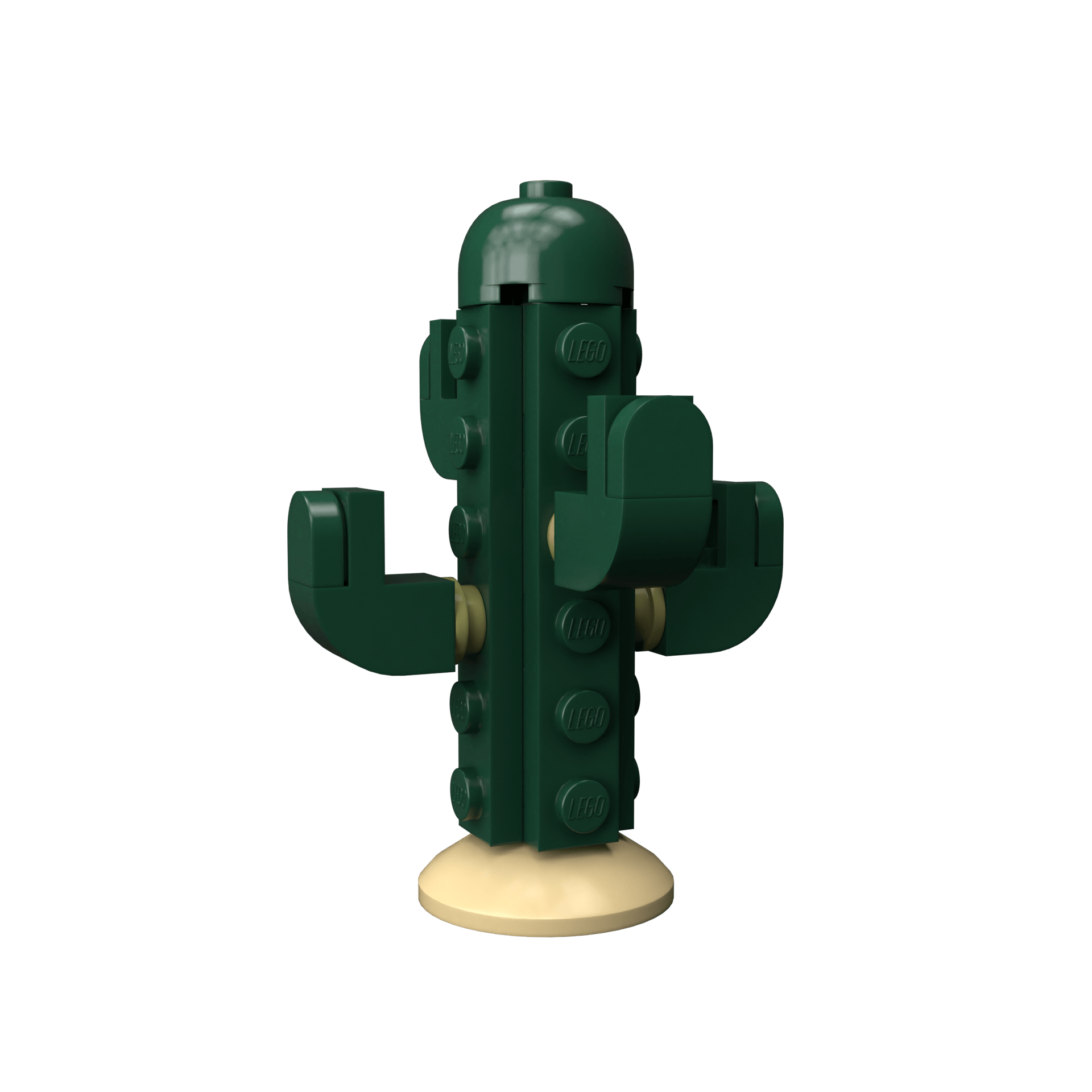 Cactus - Image 4